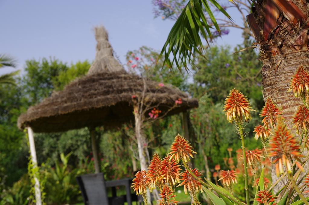 Villa Malika Silvana Marrakesh Chambre photo